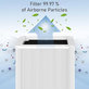 Blueair Blue Pure 211+ - HEPA filtr (Aktivní uhlí)
