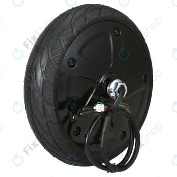 Ninebot Segway ES1, ES2 - Komplet Motor s Pneumatikou 36V 350W